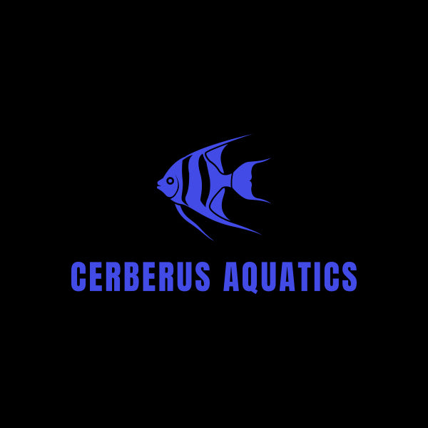 Cerberus Aquatics